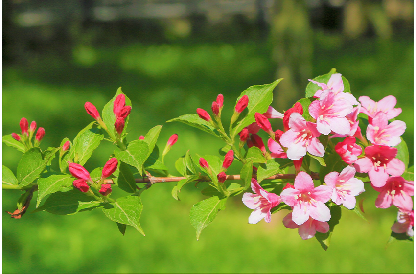 چھوٹی مگر سبق آموز بات