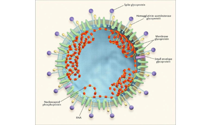 افریقہ کورونا وائرس ڈائری نمبر6 ،(22 ۔اپریل 2020)